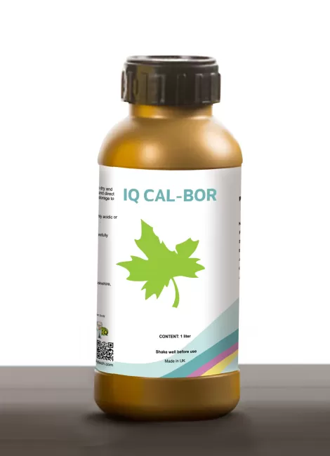 Iq cal por